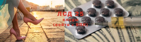 2c-b Бородино