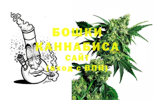 молекула духа Бугульма