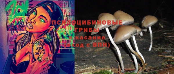 2c-b Бородино