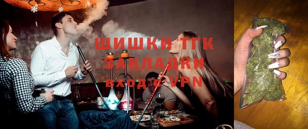 2c-b Бородино