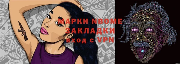 2c-b Бородино