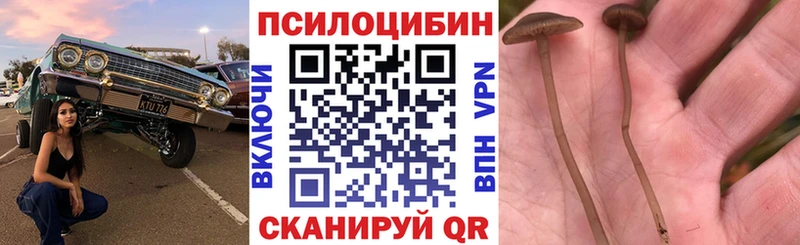 Псилоцибиновые грибы GOLDEN TEACHER  Гороховец 